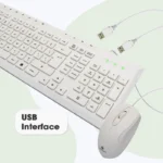 Zeb Judwaa 900 Wired Keyboard and Mouse Combo - Image 2