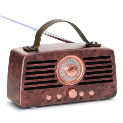 BT45 Wireless BT Speaker with Deep Bass, Bluetooth Connectivity, FM Radio & Rechargeable Battery