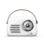 BT15 Wireless BT Speaker with Deep Bass, Bluetooth Connectivity, FM Radio & Rechargeable Battery