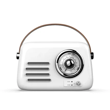 BT15 Wireless BT Speaker with Deep Bass, Bluetooth Connectivity, FM Radio & Rechargeable Battery