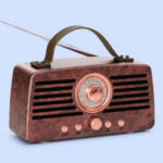 BT45 Wireless BT Speaker with Deep Bass, Bluetooth Connectivity, FM Radio & Rechargeable Battery